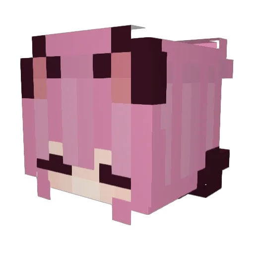 meowhacker000 Minecraft avatar head, 3D render