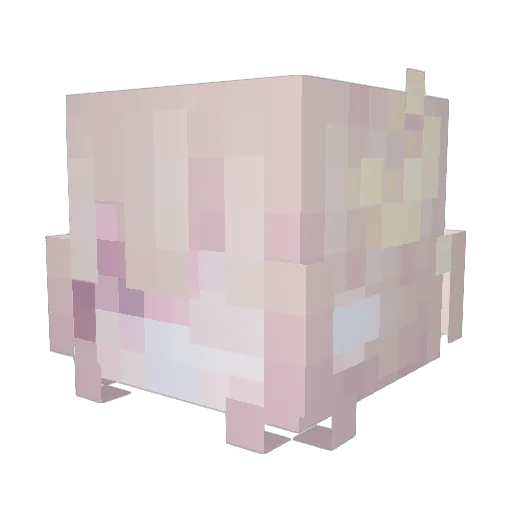 meowiir Minecraft avatar head, 3D render
