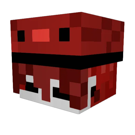 meowingzay Minecraft avatar head, 3D render