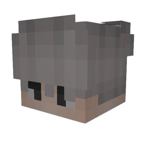 meowkitty111 Minecraft avatar head, 3D render