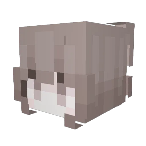 meowkittyxd Minecraft avatar head, 3D render