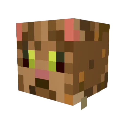meowkmeow Minecraft avatar head, 3D render