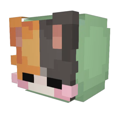 meowmeowchik Minecraft avatar head, 3D render