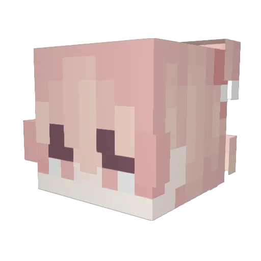 meowmrrrp Minecraft avatar head, 3D render