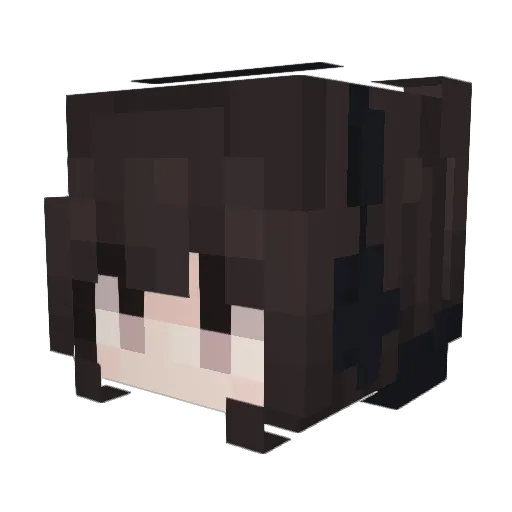 meownia Minecraft avatar head, 3D render