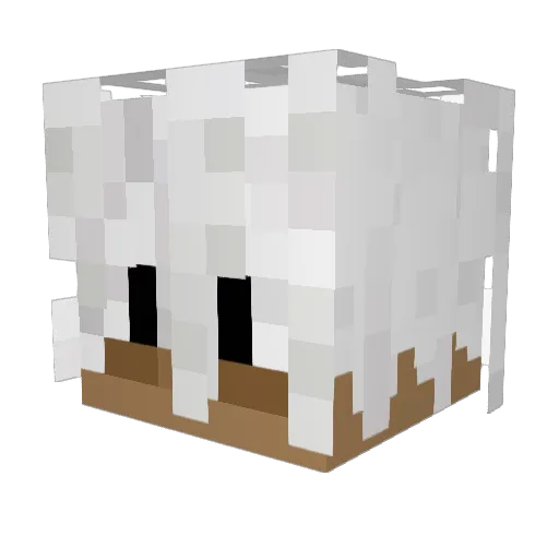 meowpale Minecraft avatar head, 3D render
