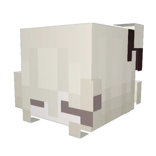 meows__ Minecraft avatar head, 3D render