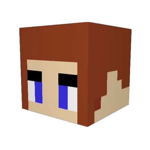 meowtism69 Minecraft avatar head, 3D render