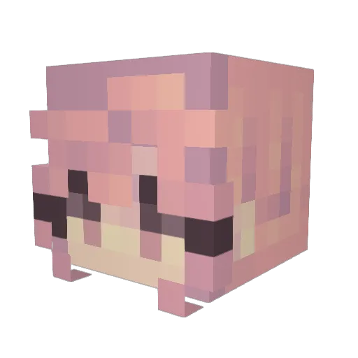 meowuui Minecraft avatar head, 3D render