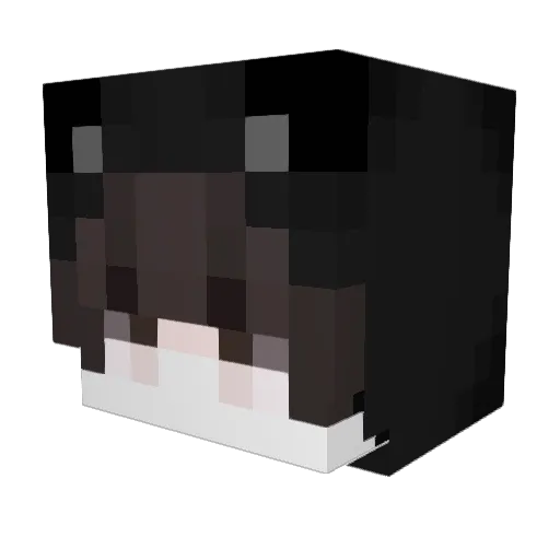 meowwarevictim7 Minecraft avatar head, 3D render
