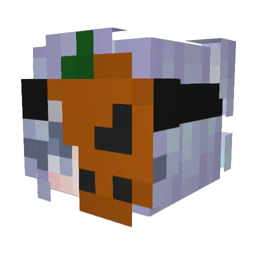 meowwon54088 Minecraft avatar head, 3D render