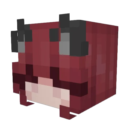 meowy_lex Minecraft avatar head, 3D render