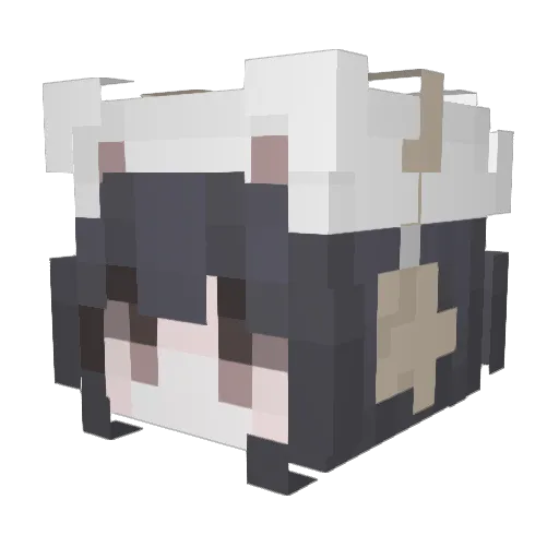meowycatteruler Minecraft avatar head, 3D render