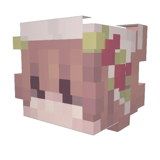 mer1t Minecraft avatar head, 3D render