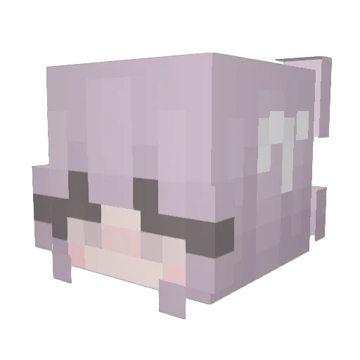 mera9 Minecraft avatar head, 3D render