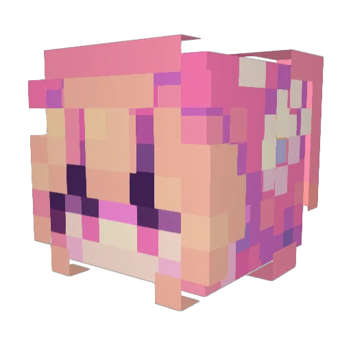 merakiirl Minecraft avatar head, 3D render