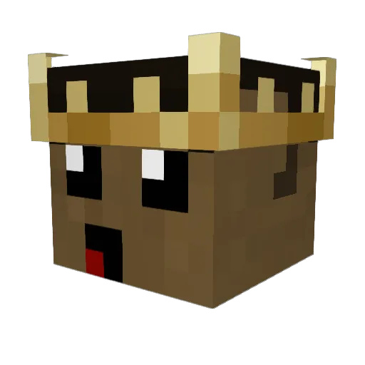 merdinTG Minecraft avatar head, 3D render