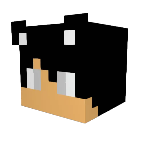 mergis999 Minecraft avatar head, 3D render