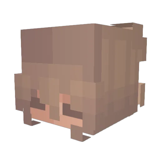 meriiiso Minecraft avatar head, 3D render