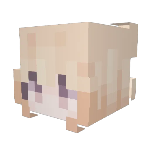 meriy Minecraft avatar head, 3D render