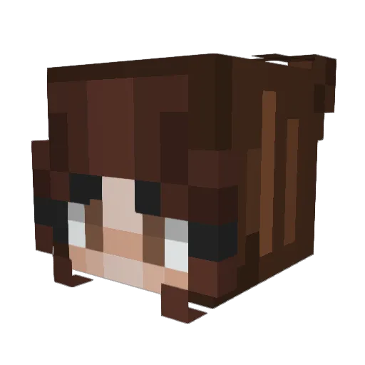 merj Minecraft avatar head, 3D render