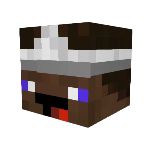 merkmudkip1 Minecraft avatar head, 3D render