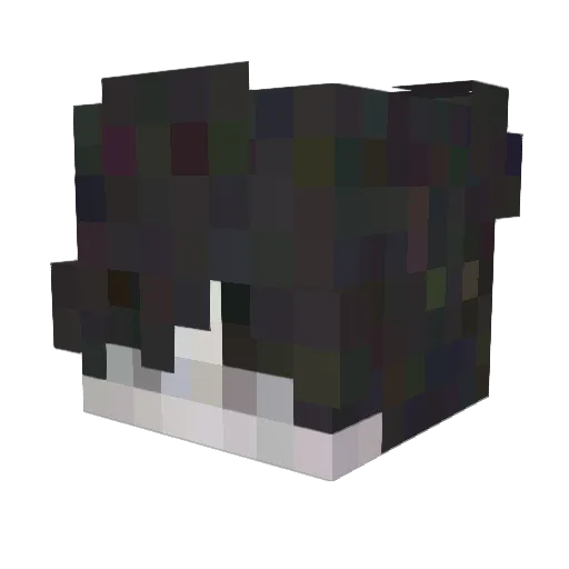merlin_hermess Minecraft avatar head, 3D render