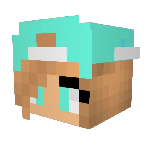 merome1737 Minecraft avatar head, 3D render