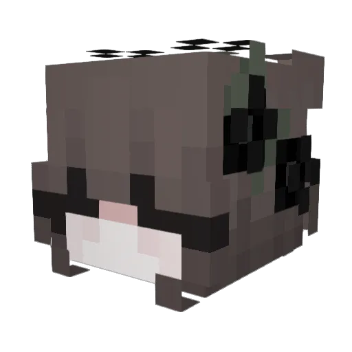 mery1808 Minecraft avatar head, 3D render