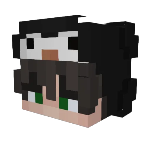 meshady Minecraft avatar head, 3D render