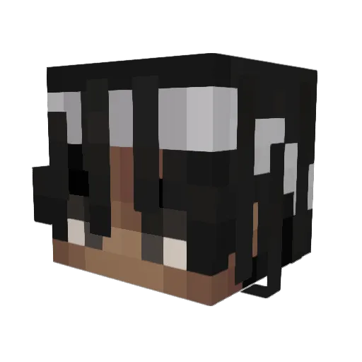 mesmartypant Minecraft avatar head, 3D render
