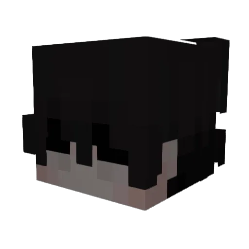 meso_20 Minecraft avatar head, 3D render