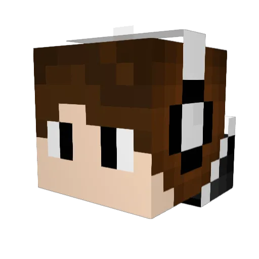 messikid1 Minecraft avatar head, 3D render