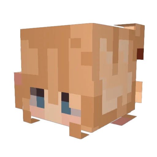 meta_chaan Minecraft avatar head, 3D render