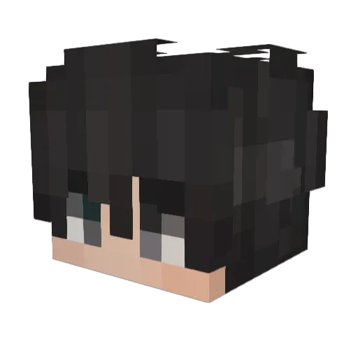 metairony_ Minecraft avatar head, 3D render