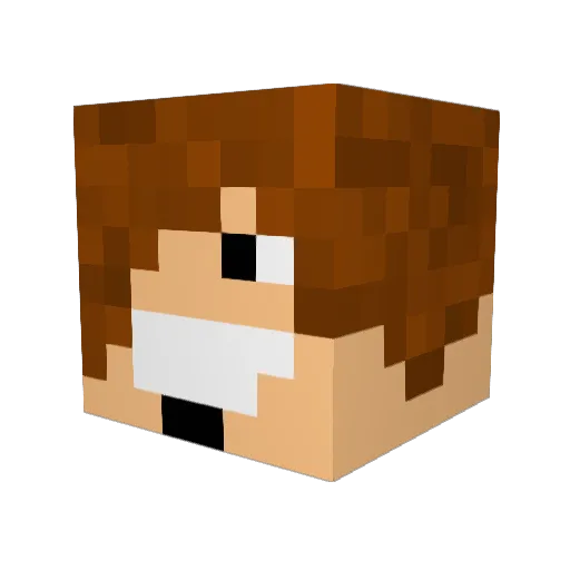 metal1595 Minecraft avatar head, 3D render