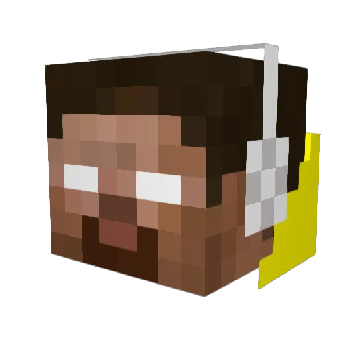metalicelvis Minecraft avatar head, 3D render