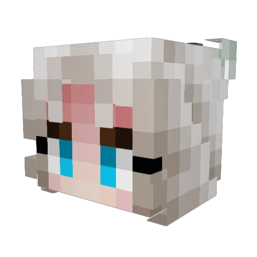 metaslime3 Minecraft avatar head, 3D render