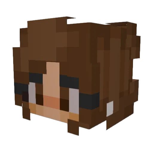metefoth Minecraft avatar head, 3D render