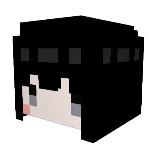meteo1537 Minecraft avatar head, 3D render