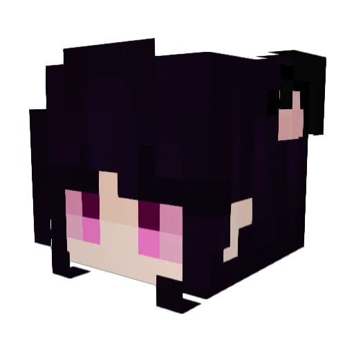 meteochan Minecraft avatar head, 3D render