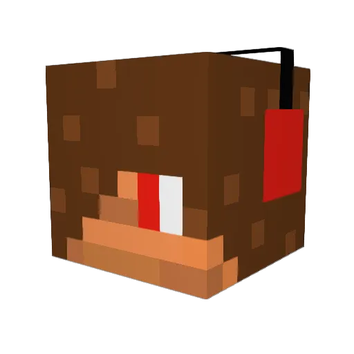 meteor501 Minecraft avatar head, 3D render