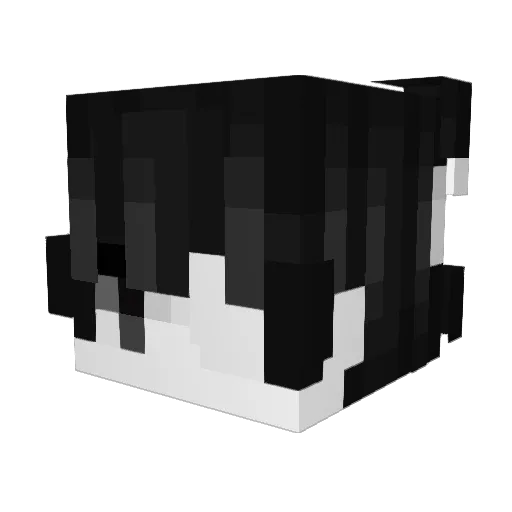 methamfeminist Minecraft avatar head, 3D render