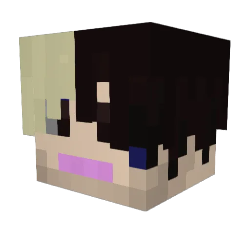 methylmorphin Minecraft avatar head, 3D render
