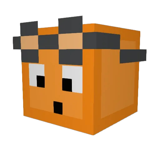 metricleader761 Minecraft avatar head, 3D render