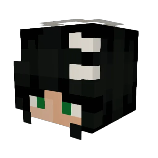 metroblinks Minecraft avatar head, 3D render