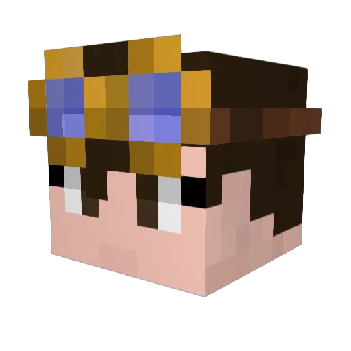 metroidhunter1 Minecraft avatar head, 3D render
