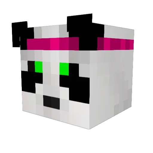 metroninja Minecraft avatar head, 3D render