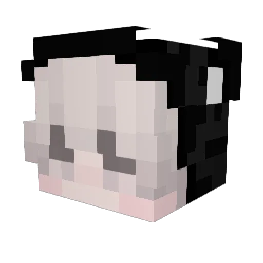 metsu_hadoken Minecraft avatar head, 3D render