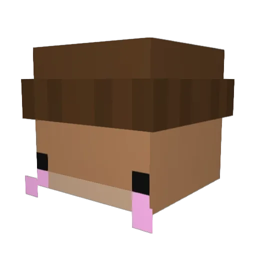 mett9313 Minecraft avatar head, 3D render